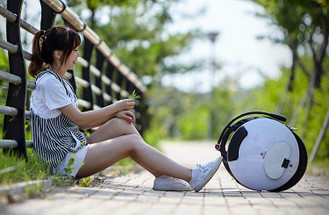 Best Beginner Wheel: InMotion V5F