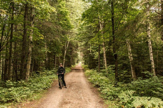 Where You Can Ride an E-Bike in Ontario
