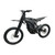 E Ride PRO-SS (19") 2.0 Electric Dirt Bike 2024
