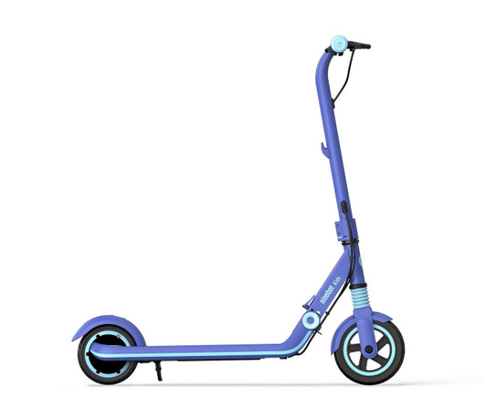 青色 セグウェイ Segway Ninebot 18