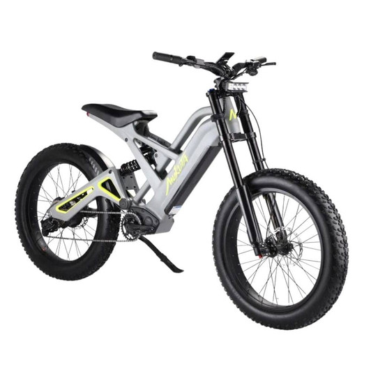 Mukuta Knight 24" 1200W Rear Hub Motor Electric Bike