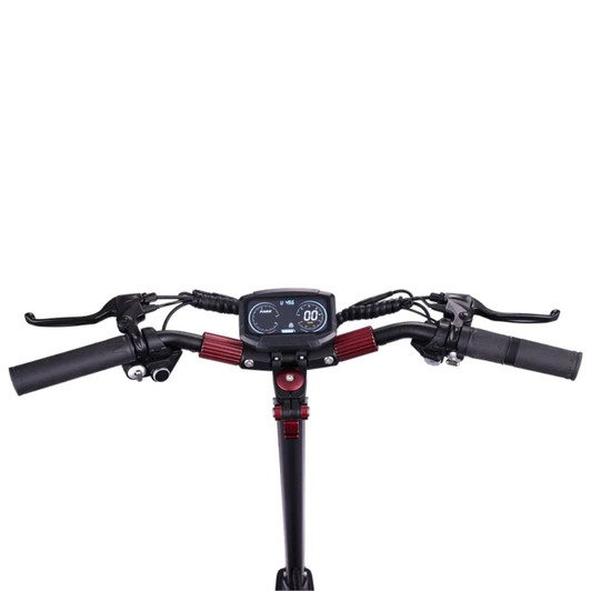Mukuta 9 800W Motor Electric Scooter with Removable Battery