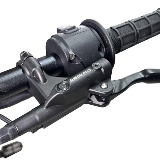  E Ride PRO-SS (19") 2.0 Electric Dirt Bike 2024 