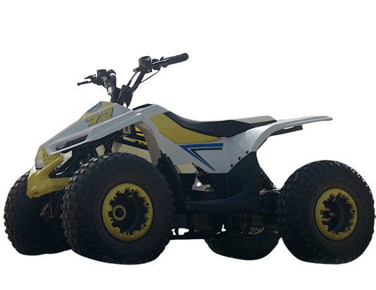 Velocifero Mini ATV Electric – Off-Road E-Mini Kids Quad