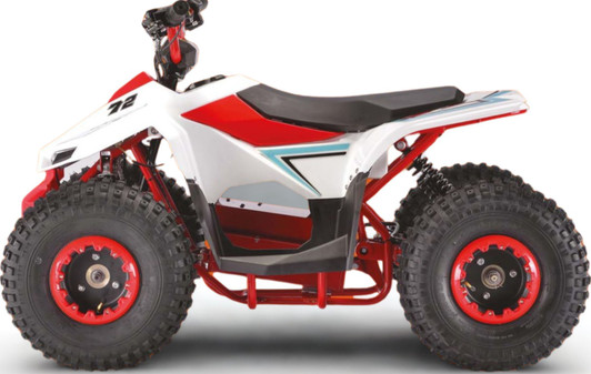 Velocifero Mini ATV Electric – Off-Road E-Mini Kids Quad