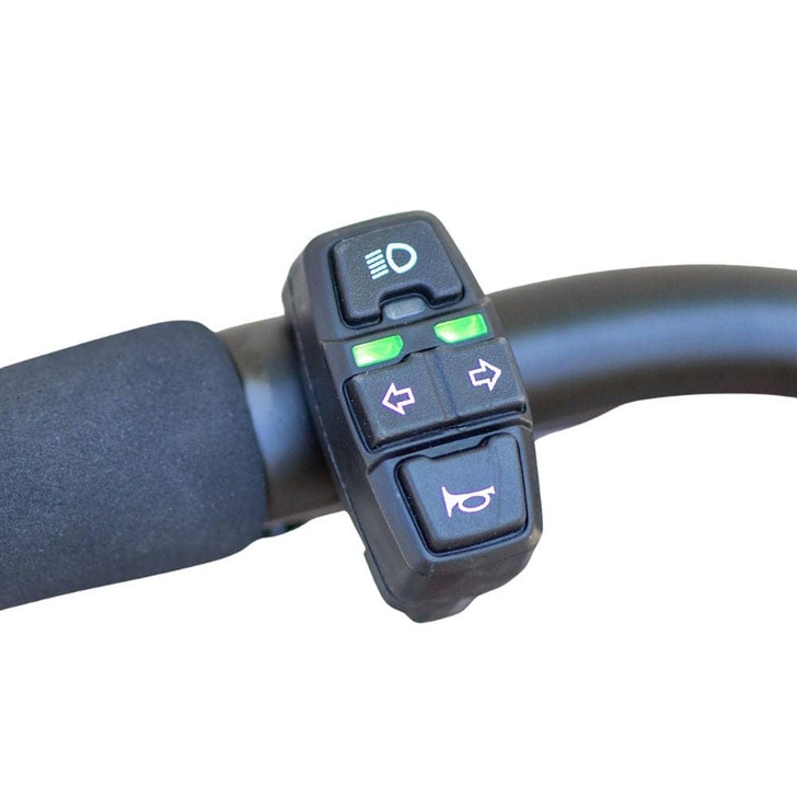  Kaabo Mantis 10 Lite 500W Dual Motor Electric Scooter 