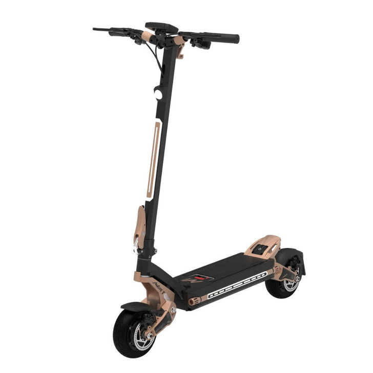  Mukuta 8 600W Motor Electric Scooter with Removable Battery 