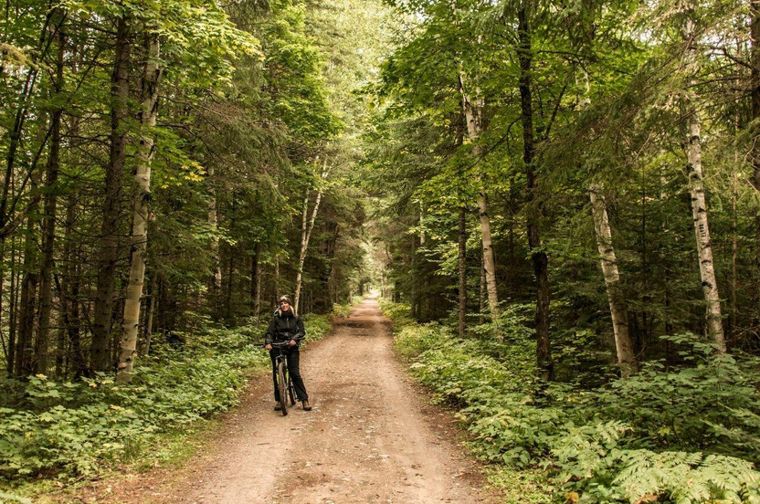Where You Can Ride an E-Bike in Ontario Where You Can Ride an E-Bike in Ontario