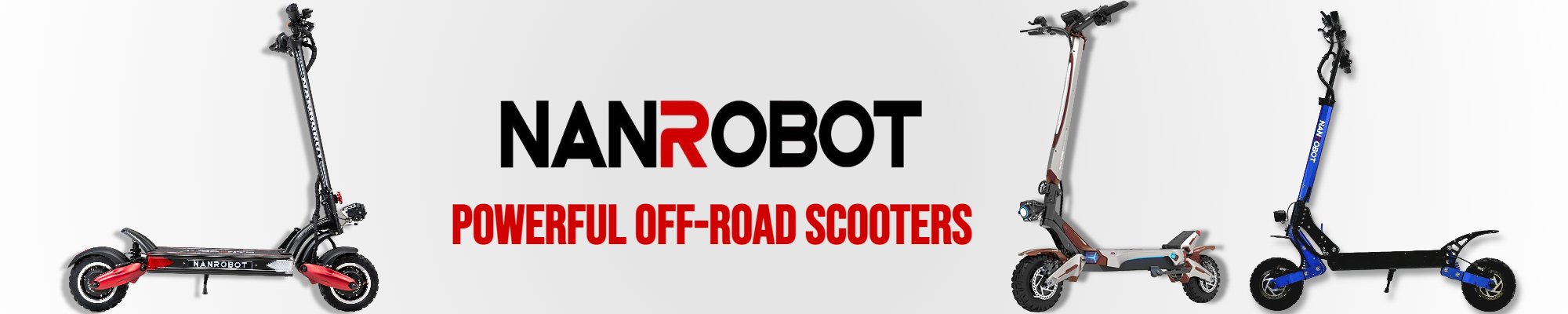 nanrobot
