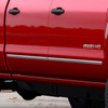 2019 Chevrolet Silverado 1500 LD Door Moldings- Installed 