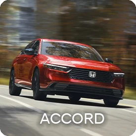 Honda Accord Accessories