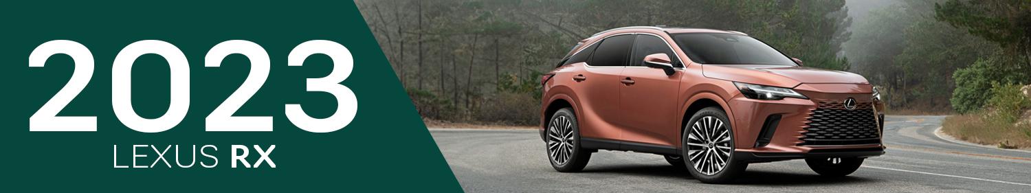 2023 Lexus RX Accessories and Parts