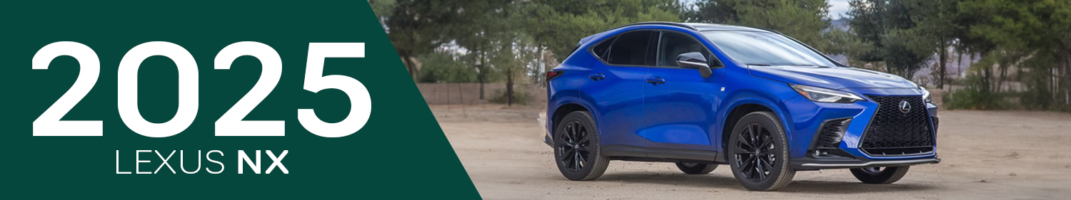 2025 Lexus NX Accessories and Parts