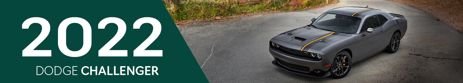 2022 Dodge Challenger Accessories and Parts 2022 Dodge Challenger Accessories and Parts