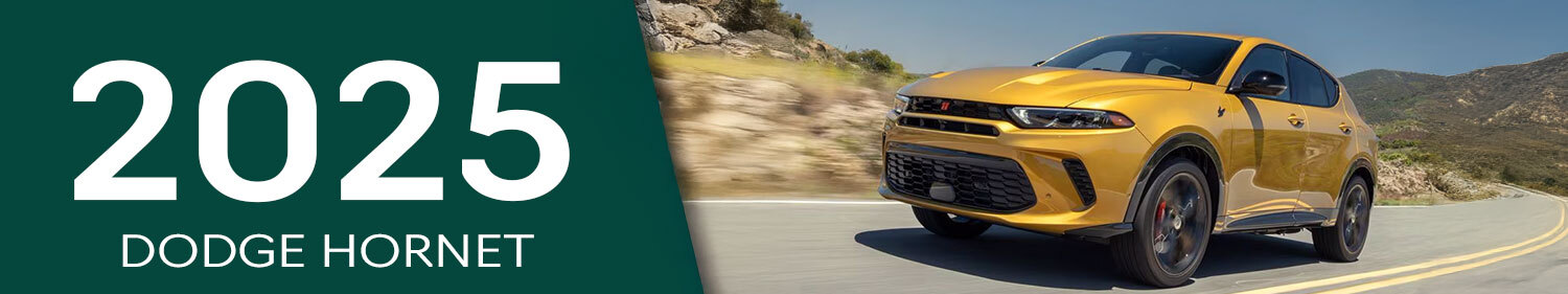 aas-model-year-banner-dodgehornet25.jpg
