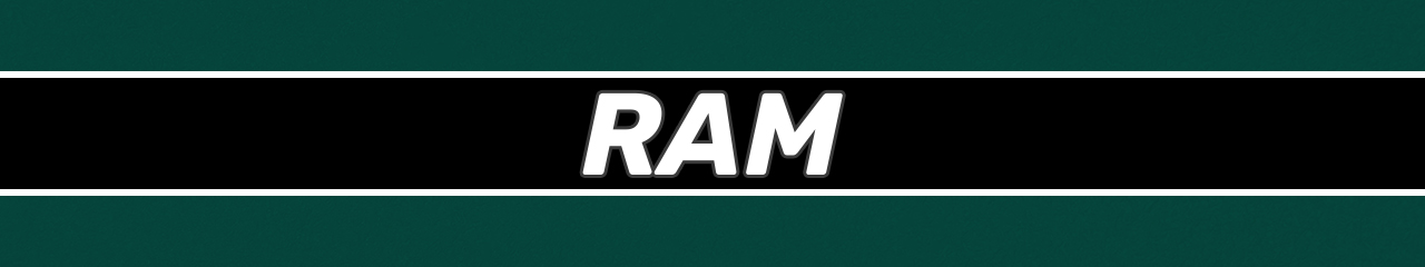 RAM Accessories and Parts