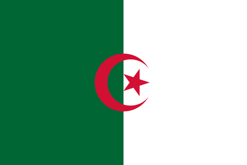 Flags of all African Countries - 3' x 5'