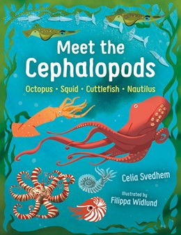 Meet the Cephalopods: