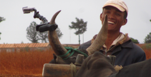made-in-zebu-cam.png