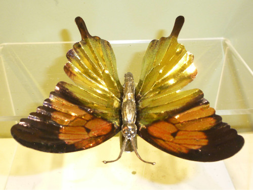 7cm Butterfly Clip Decoration x6