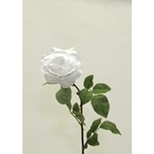 Large Rose Stem White