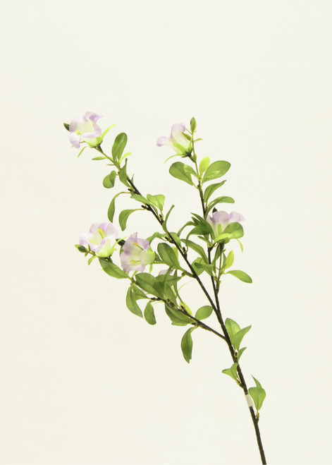 Campanula Spray Lilac