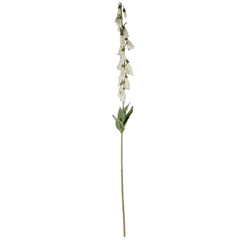 Digitalis Spray Cream - 107cm