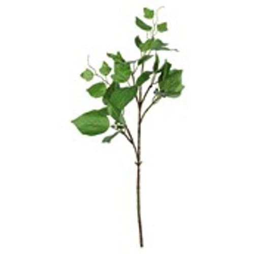 Single Hedera - 54cm