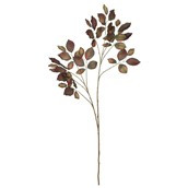 Leaf Spray Brown - 116cm