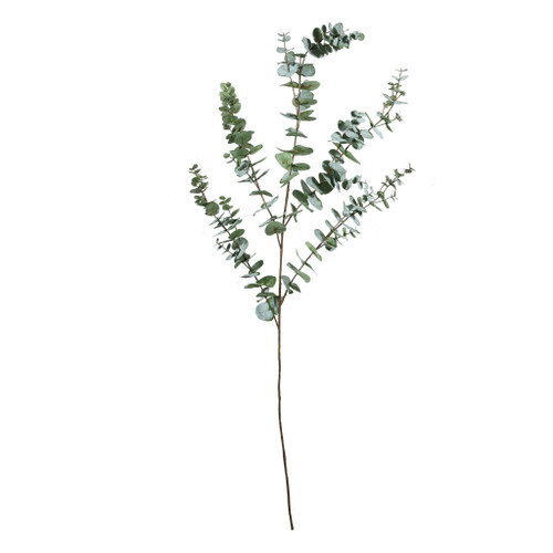 Eucalyptus Spray - 143cm