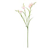 Freesia Spray - Pale Pink - 63cm