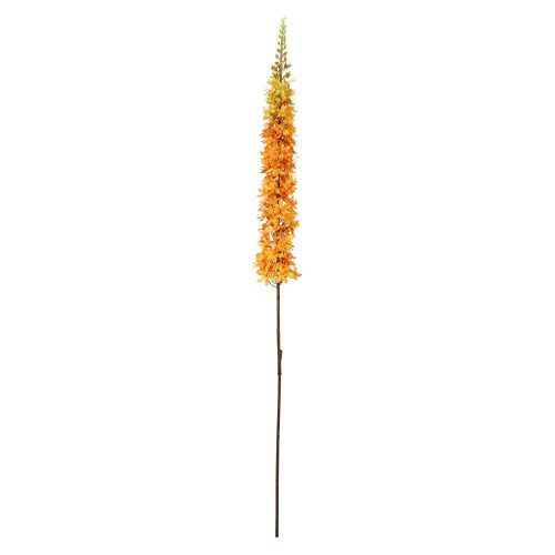 Single Foxtail Lily - Orange - 109cm