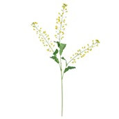 Rapeseed Flower Yellow - 111cm