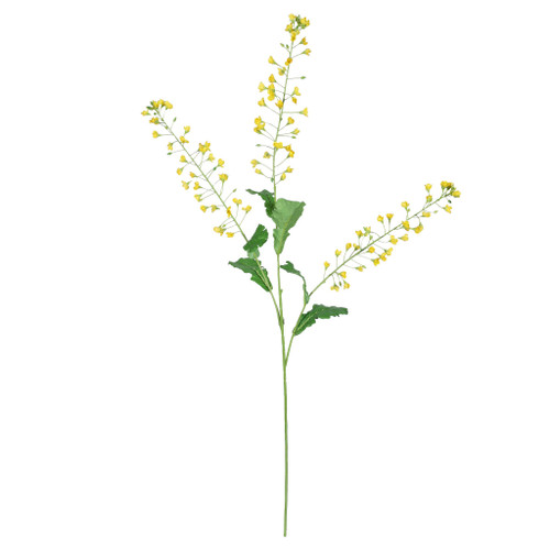 Rapeseed Flower Yellow - 111cm
