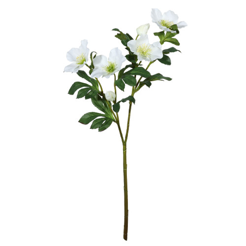 Christmas Rose Cream - 65cm