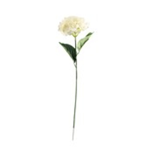 Essential Hydrangea x2 Leaves - Cream