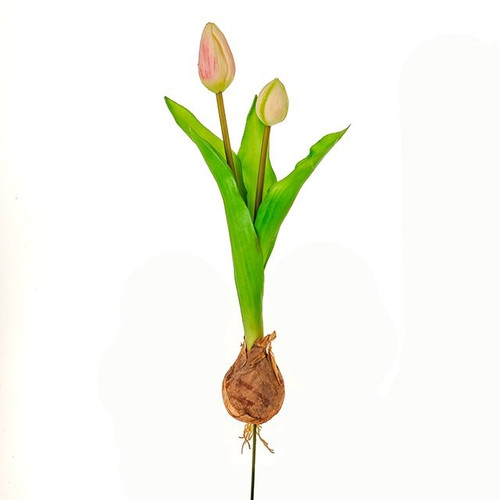 Tulip With Bulb Pink 40Cm