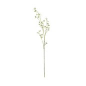 Essential Blossom Spray - White