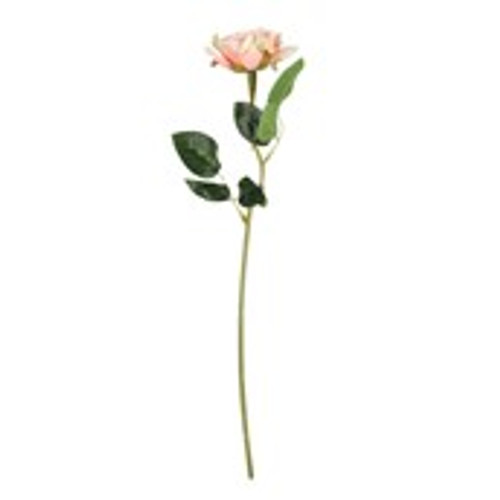 Essential  Rose - Peach