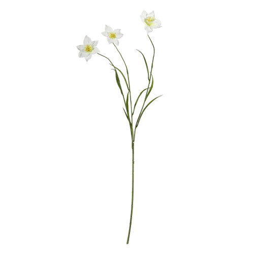 Daffodil Spray Cream - 70cm
