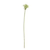 Agapanthus Stem Green - 77cm