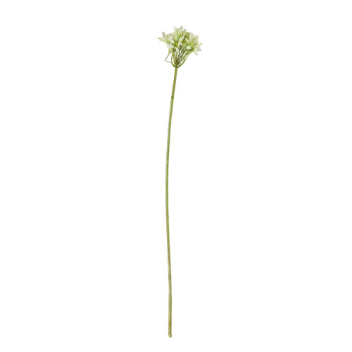 Agapanthus Stem Green - 77cm