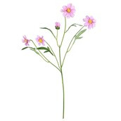 Scabiosa Spray - Purple - 68cm