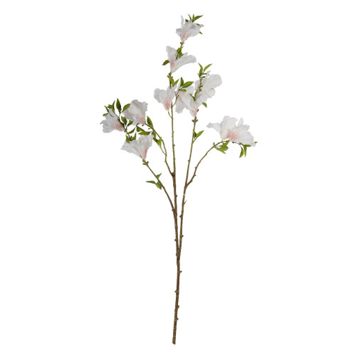 Rhododendron Cream - 83cm