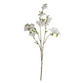 Rhododendron Cream - 83cm