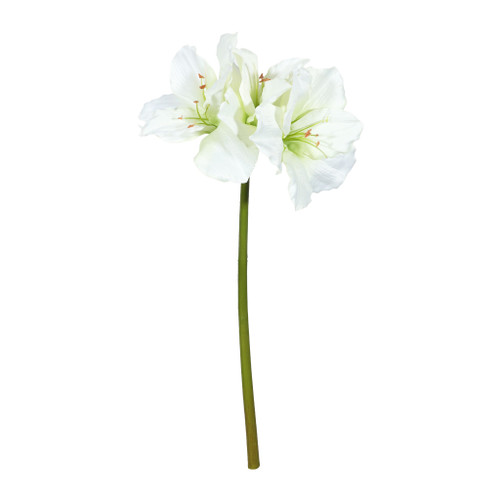 Hippeastrum Spray Cream X 3 - 83cm