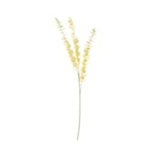 Essential Dry Look Bleached Eucalyptus Stem