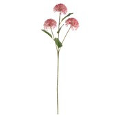 Essential Viburnum Spray - Pink