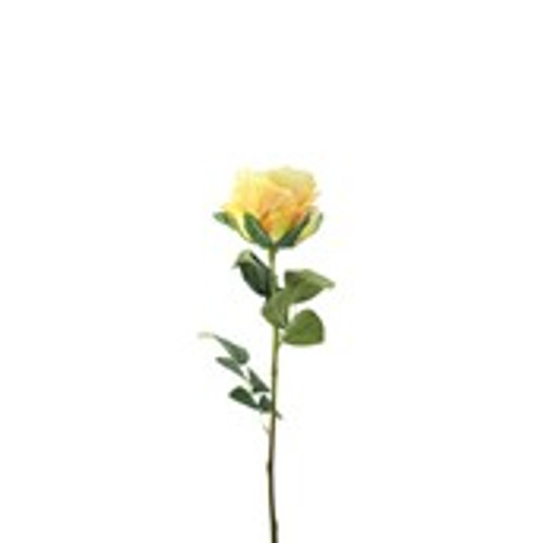 Essential Garden Rose - Lemon