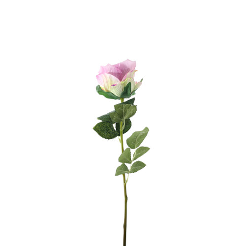 Essential Garden Rose -  Tonal Lilac